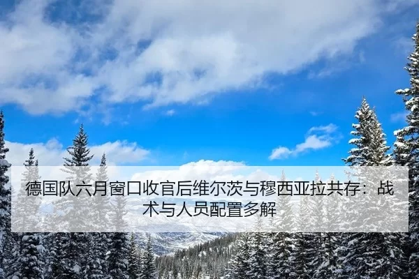 德国队六月窗口收官后维尔茨与穆西亚拉共存：战术与人员配置多解