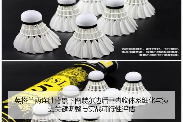 ying-ge-lan-liang-lian-sheng-bei-jing-xia-tu-he-er-bian-hou-wei-nei-shou-ti-xi-xi-hua-yu-yan-jin-guan-jian-tiao-zheng-2-150.jpg