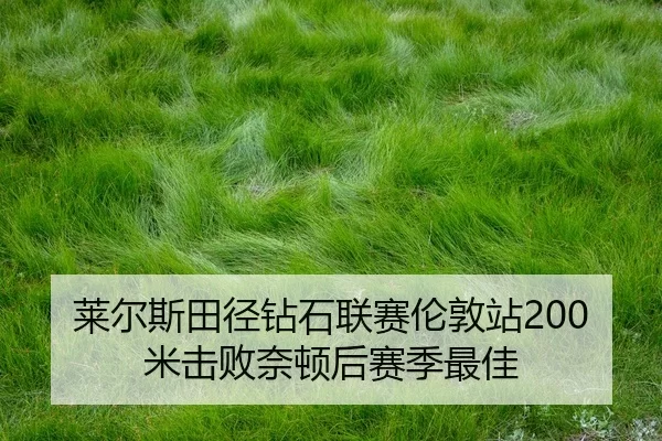 lai-er-si-tian-jing-zuan-shi-lian-sai-lun-dun-zhan-mi-ji-bai-nai-dun-hou-sai-ji-zui-jia-2-187.jpg