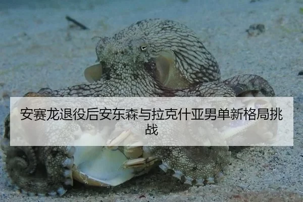 an-sai-long-tui-yi-hou-an-dong-sen-yu-la-ke-shen-ya-nan-dan-xin-ge-ju-tiao-zhan-2-269.jpg